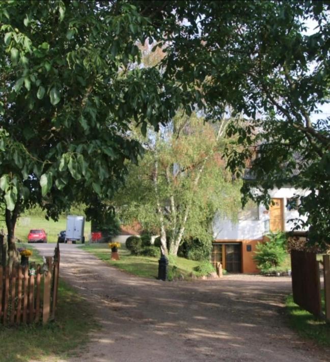 Kemenate Zimmer Gechaichnishof 7Born Maring-Noviand Kültér fotó
